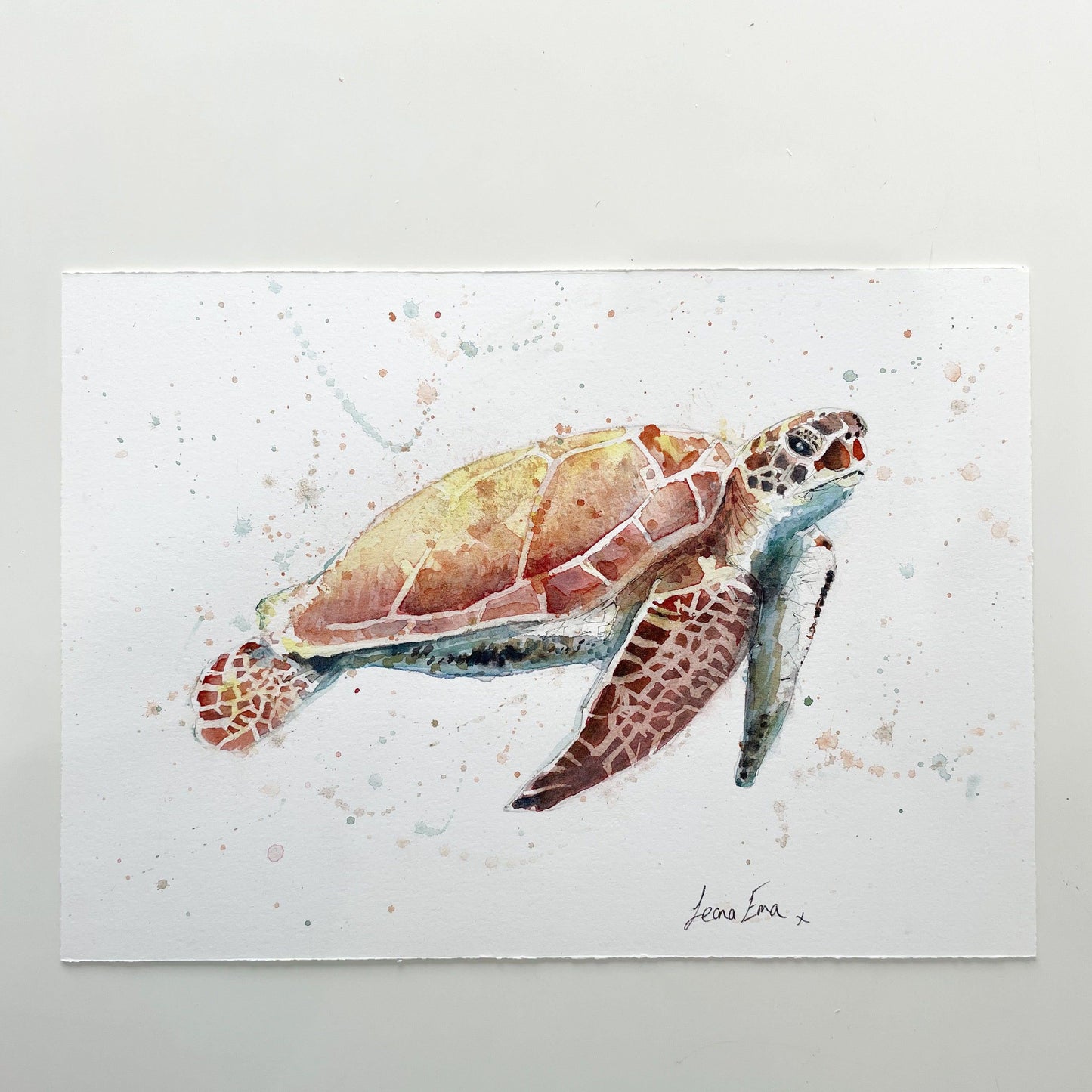 Original Sea Turtle Watercolour Painting