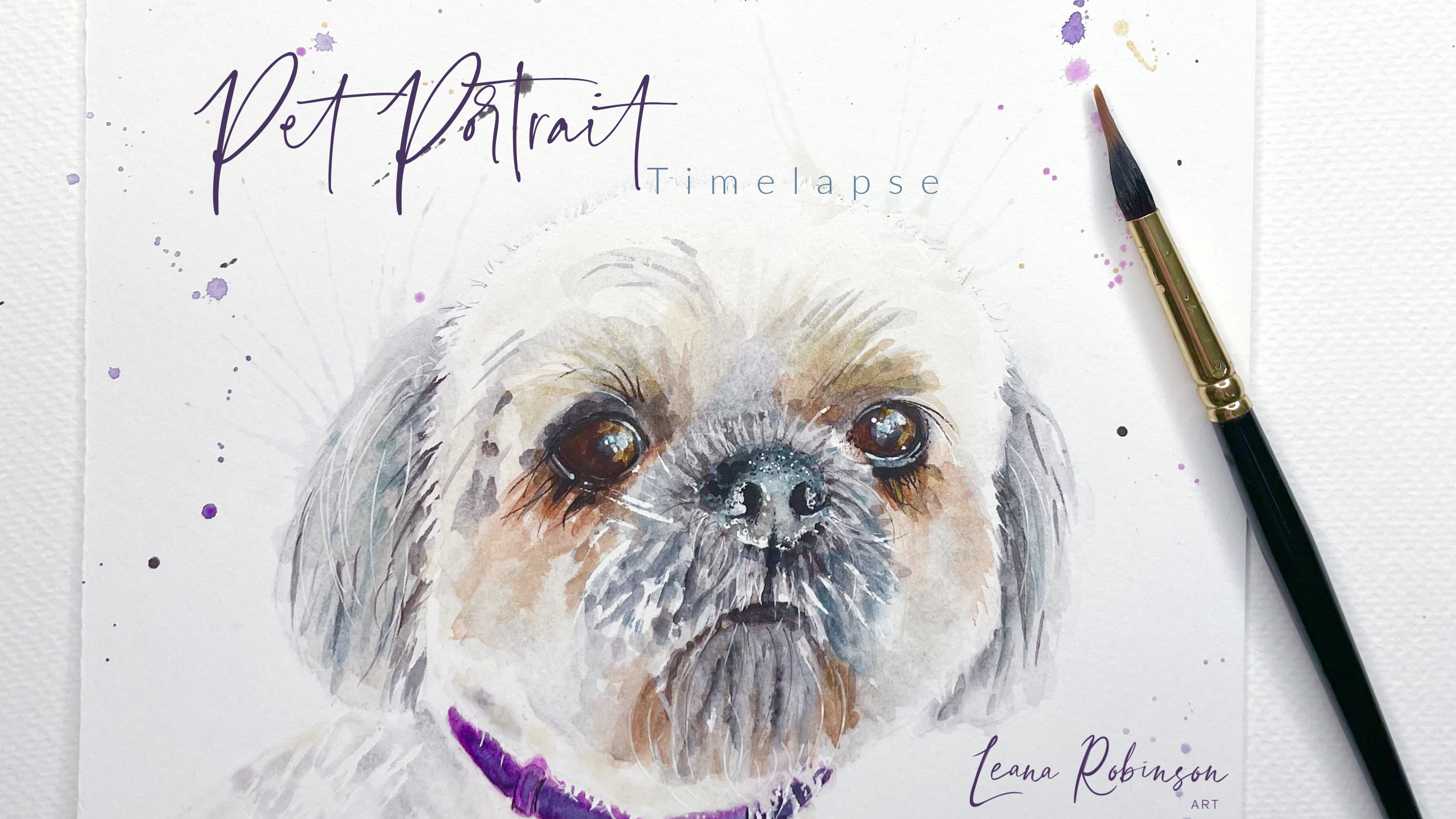 Load video: Timelapse of a pet portrait