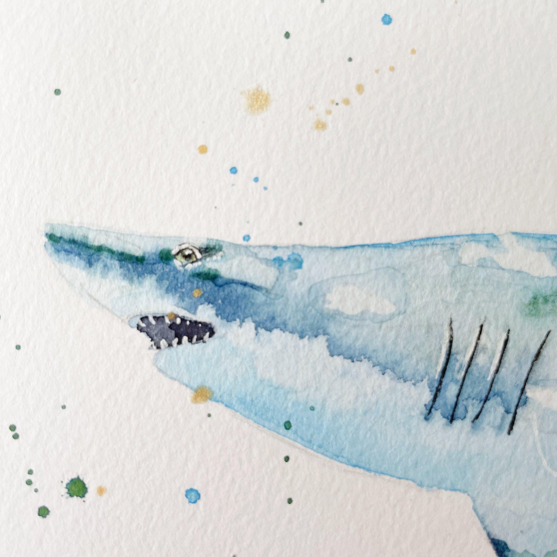 Original Shark Watercolour Painting