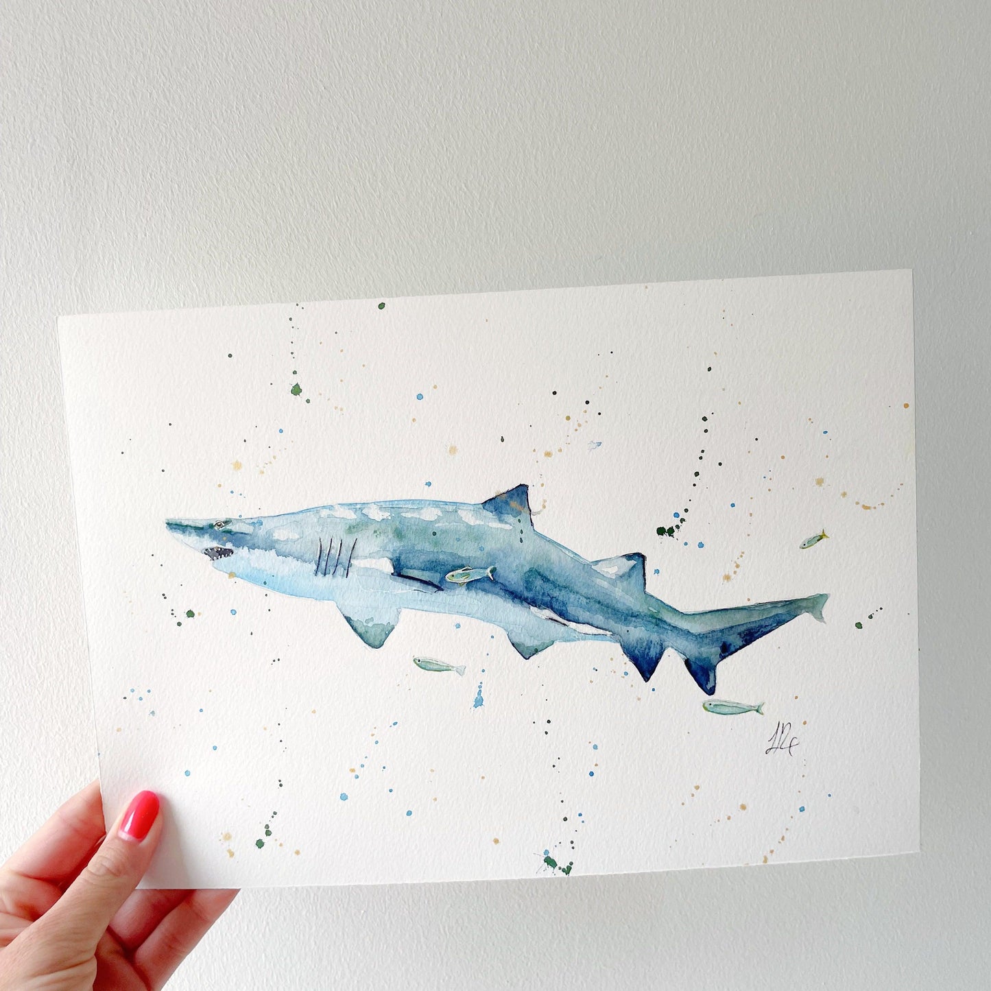 Original Shark Watercolour Painting