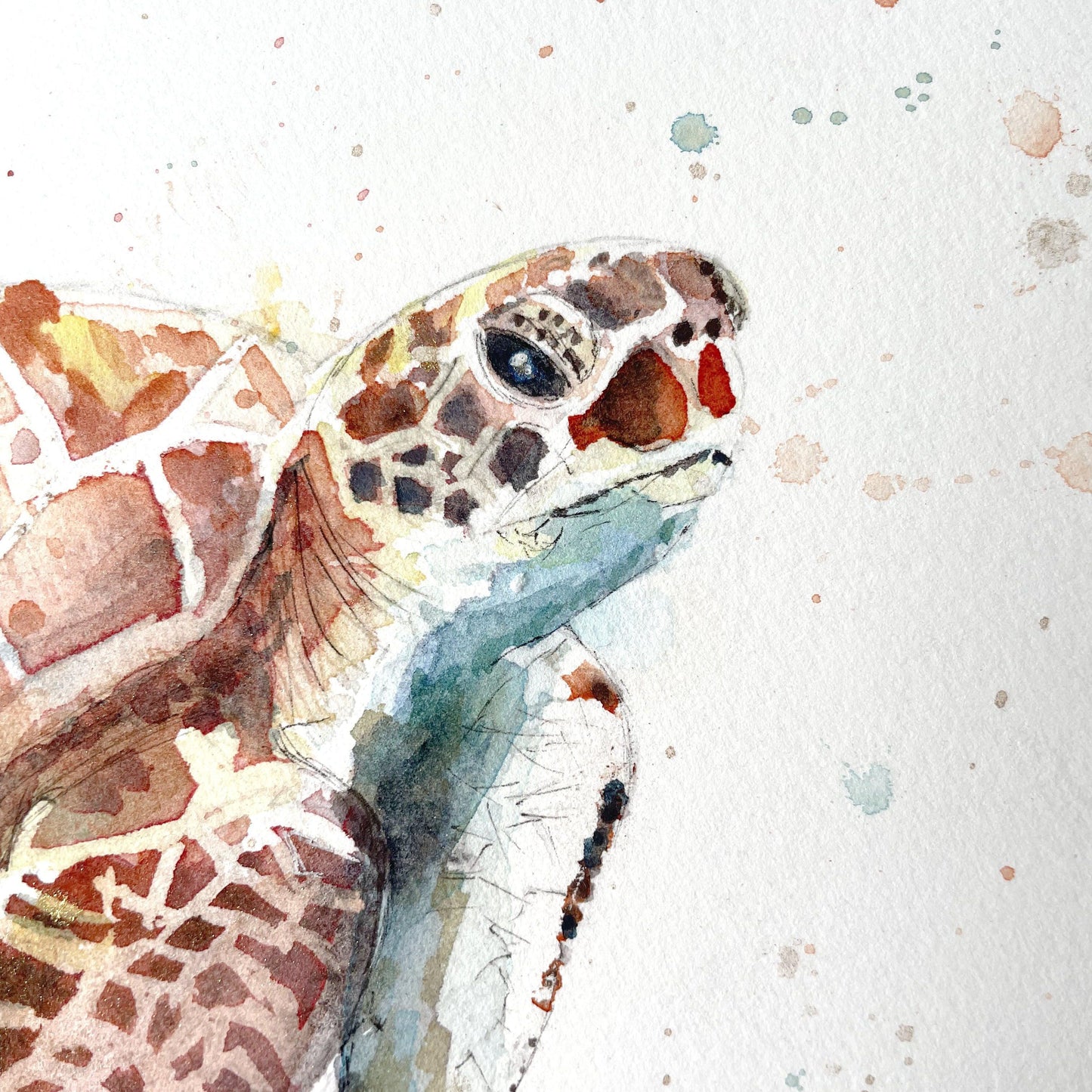 Original Sea Turtle Watercolour Painting