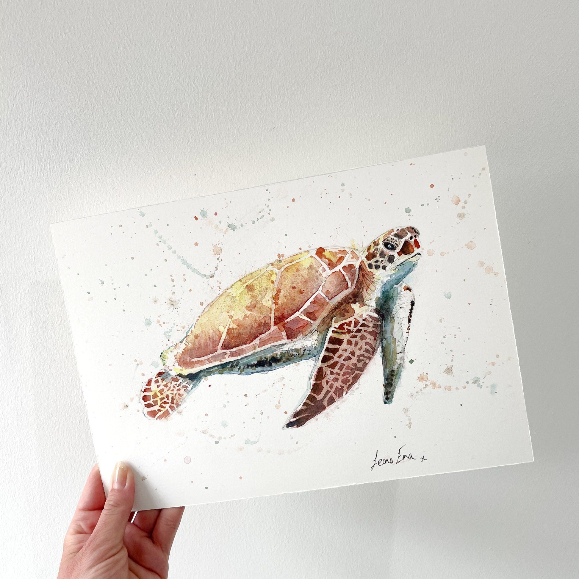 Original Sea Turtle Watercolour Painting