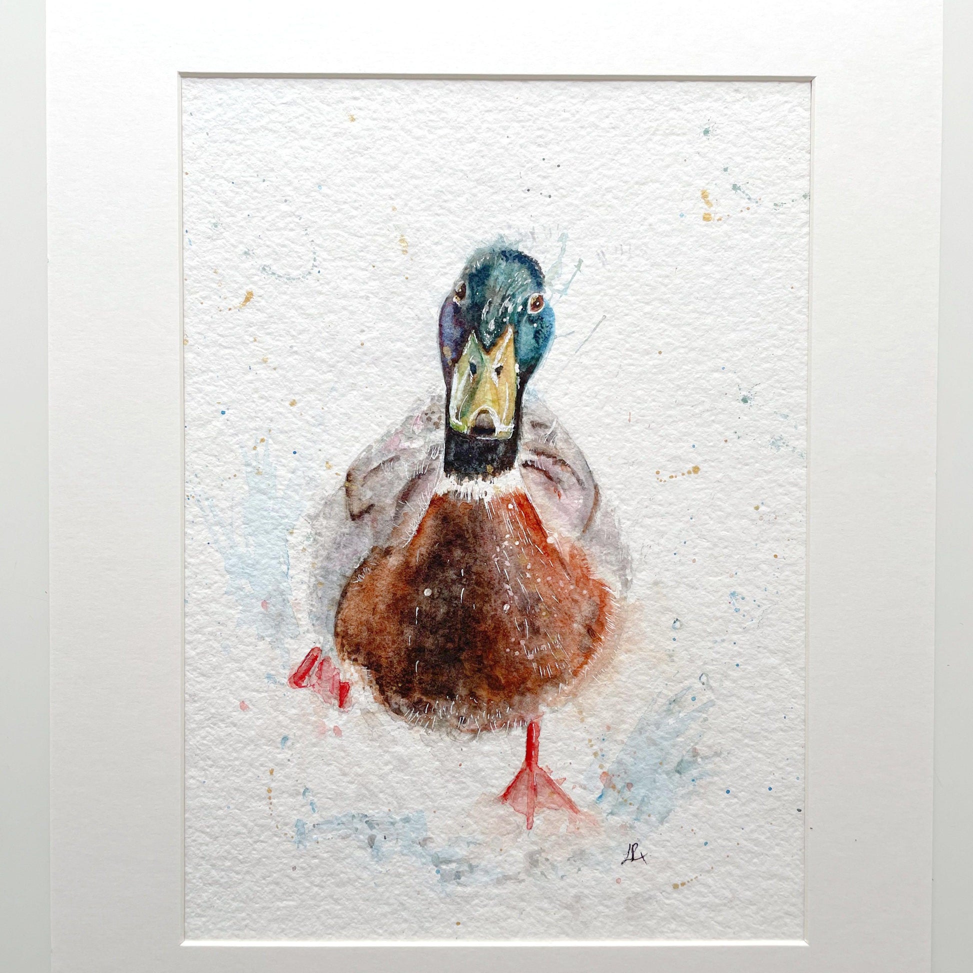 Original Watercolour Duck Painting